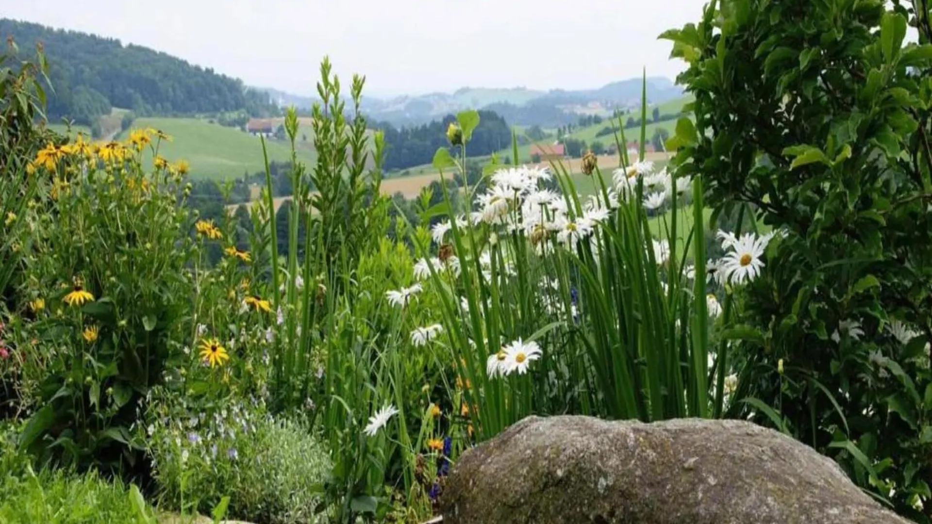 Welcoming Chalet Near Forest In Rohrnbach Apartment